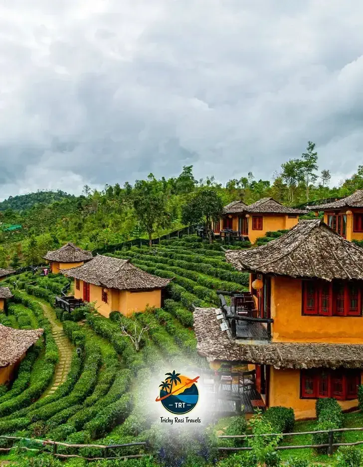 Domestic Tour Packages Trichy