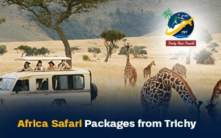 Africa Safari Packages from Trichy